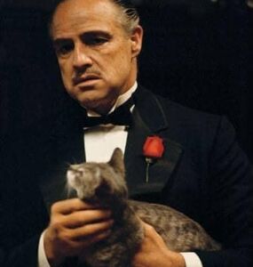 WIECZ&Oacute;R Z OSCAREM